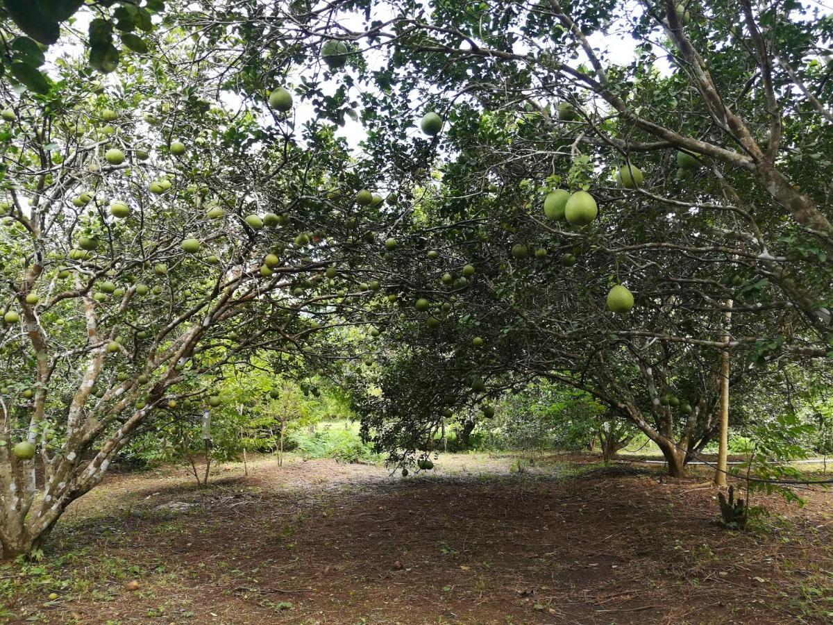 Star View Garden Villa Sai Yok Bagian luar foto